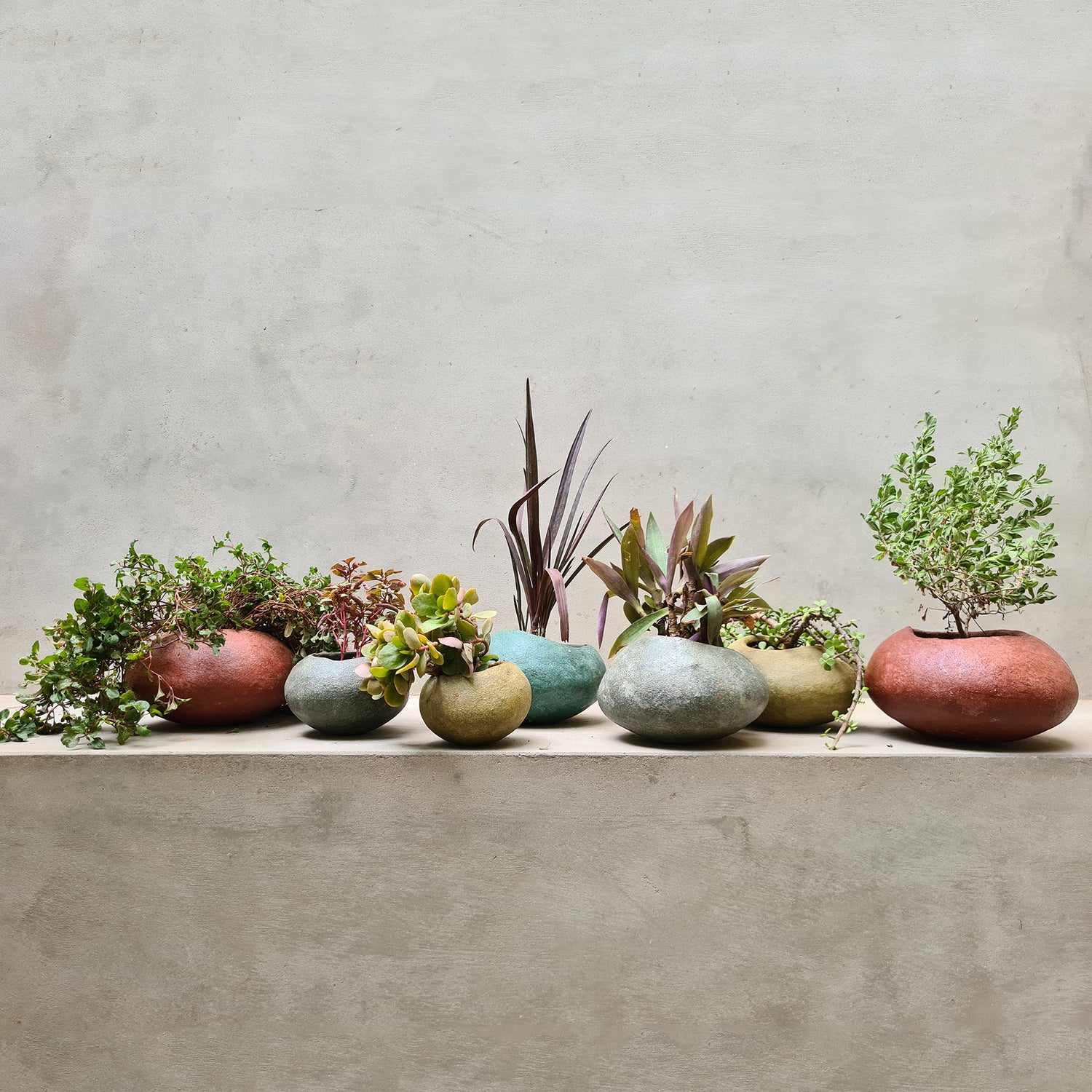 Papercrete Planters