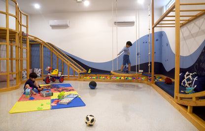 Eman_s_Jungle_Gym_for_children. 3