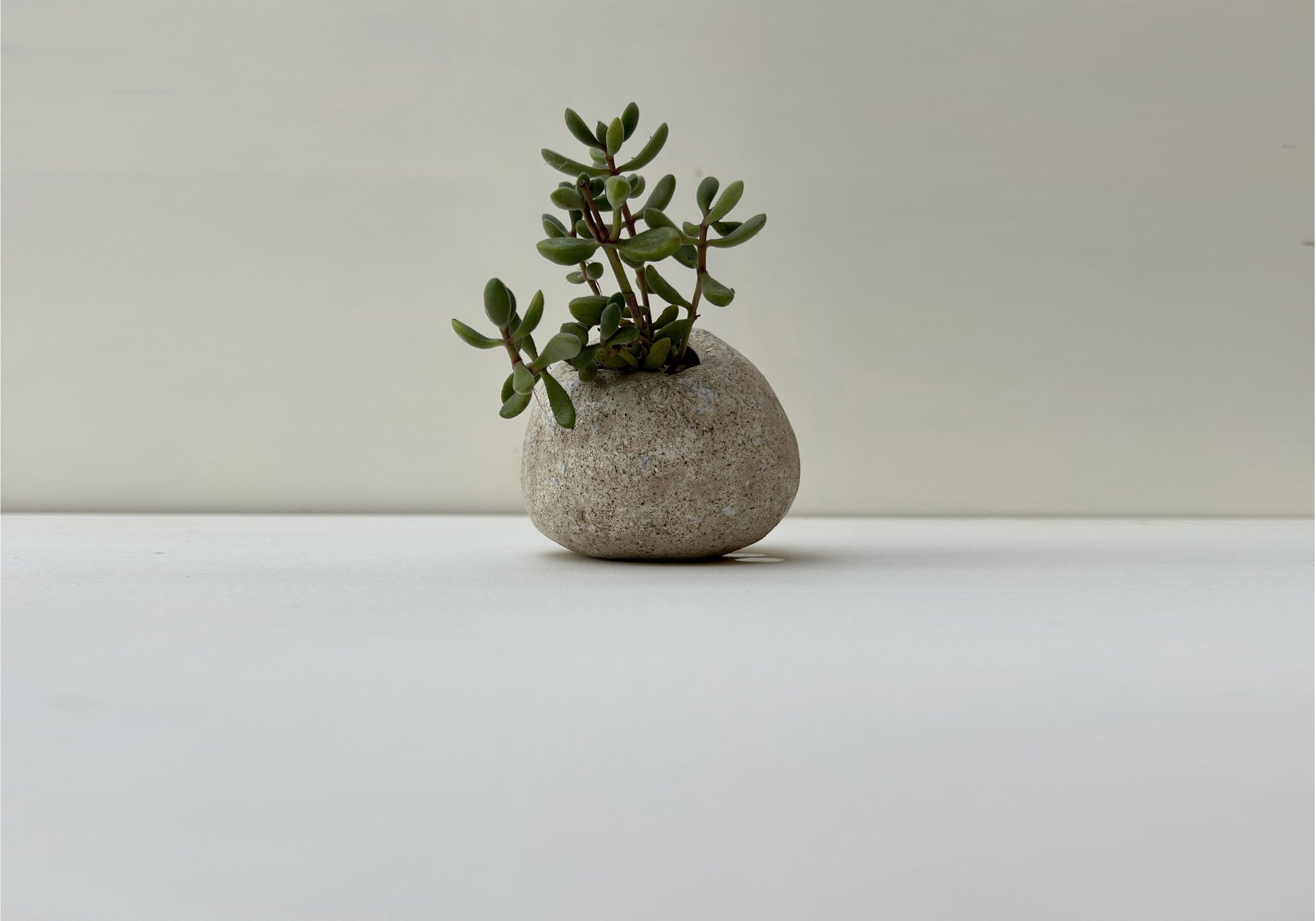 Handmade papercrete planter perfect for home and garden. 