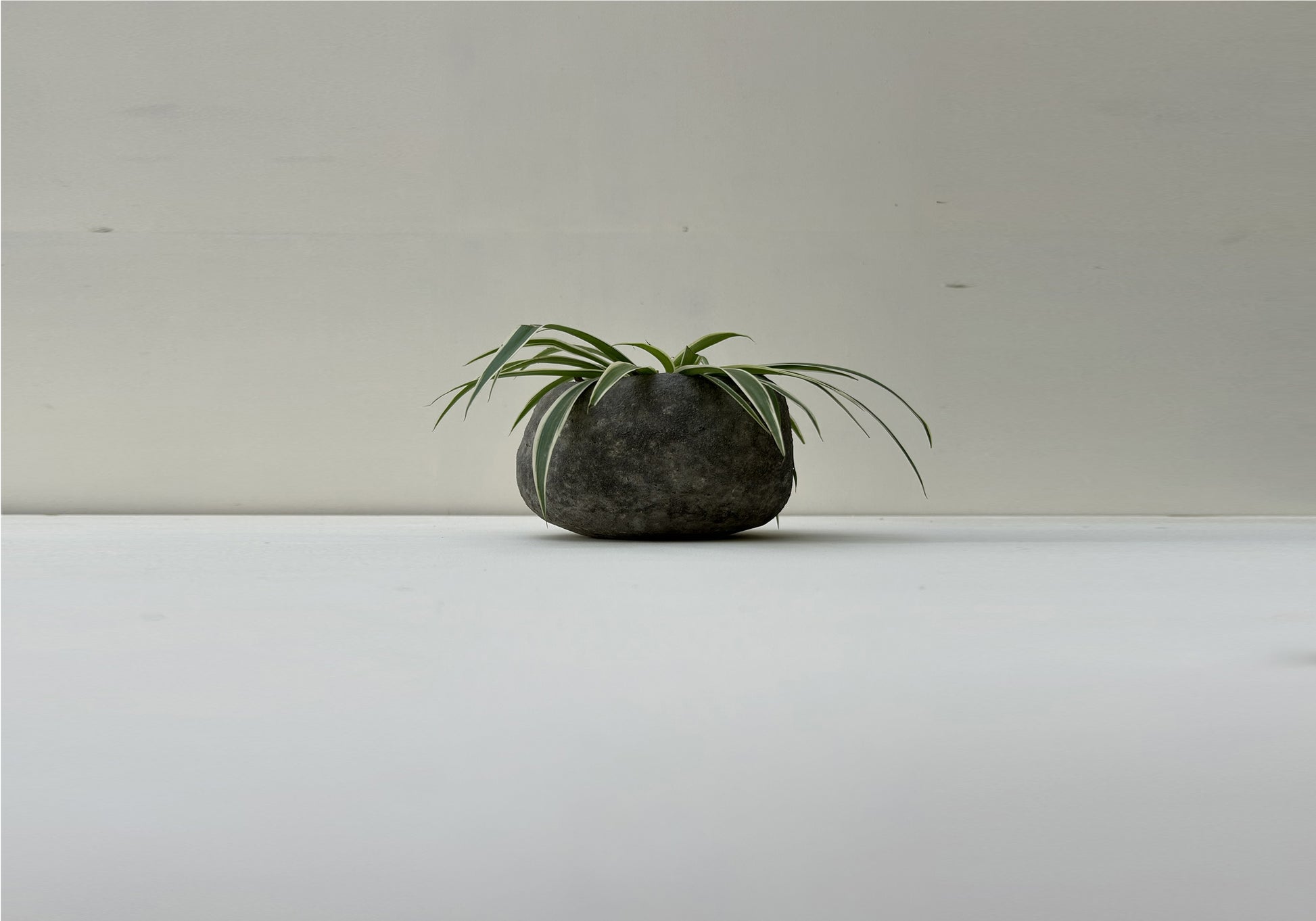 Handmade papercrete planter perfect for home and garden 2