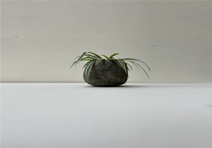 Handmade papercrete planter perfect for home and garden 2