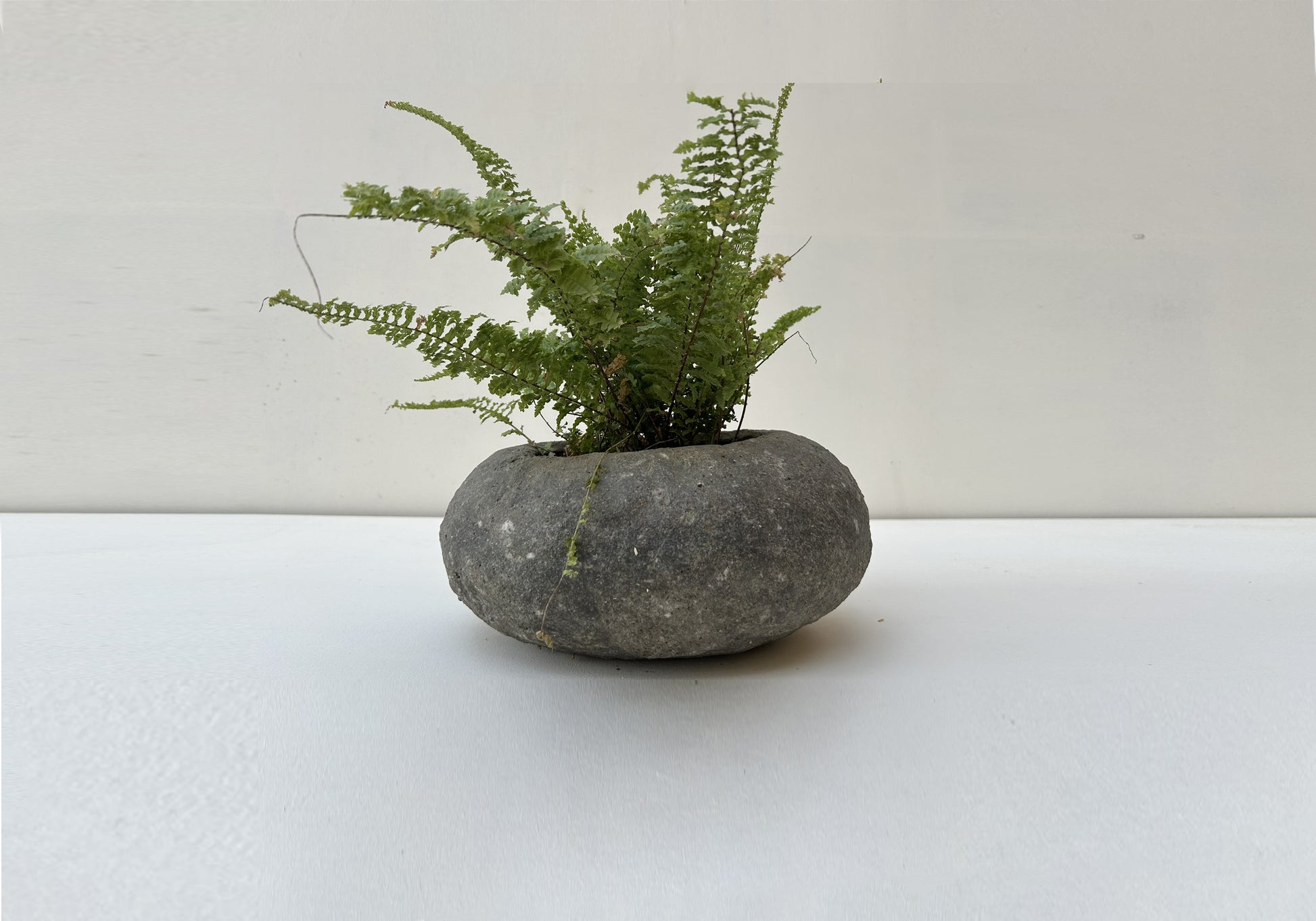 Handmade papercrete planter perfect for home and garden 3