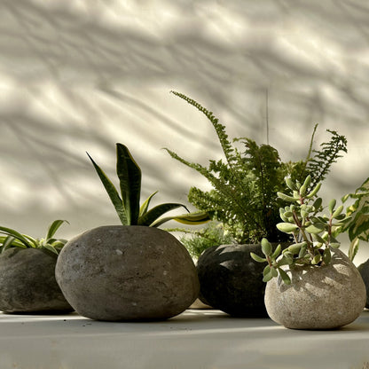 Handmade papercrete planters perfect for home and garden. 