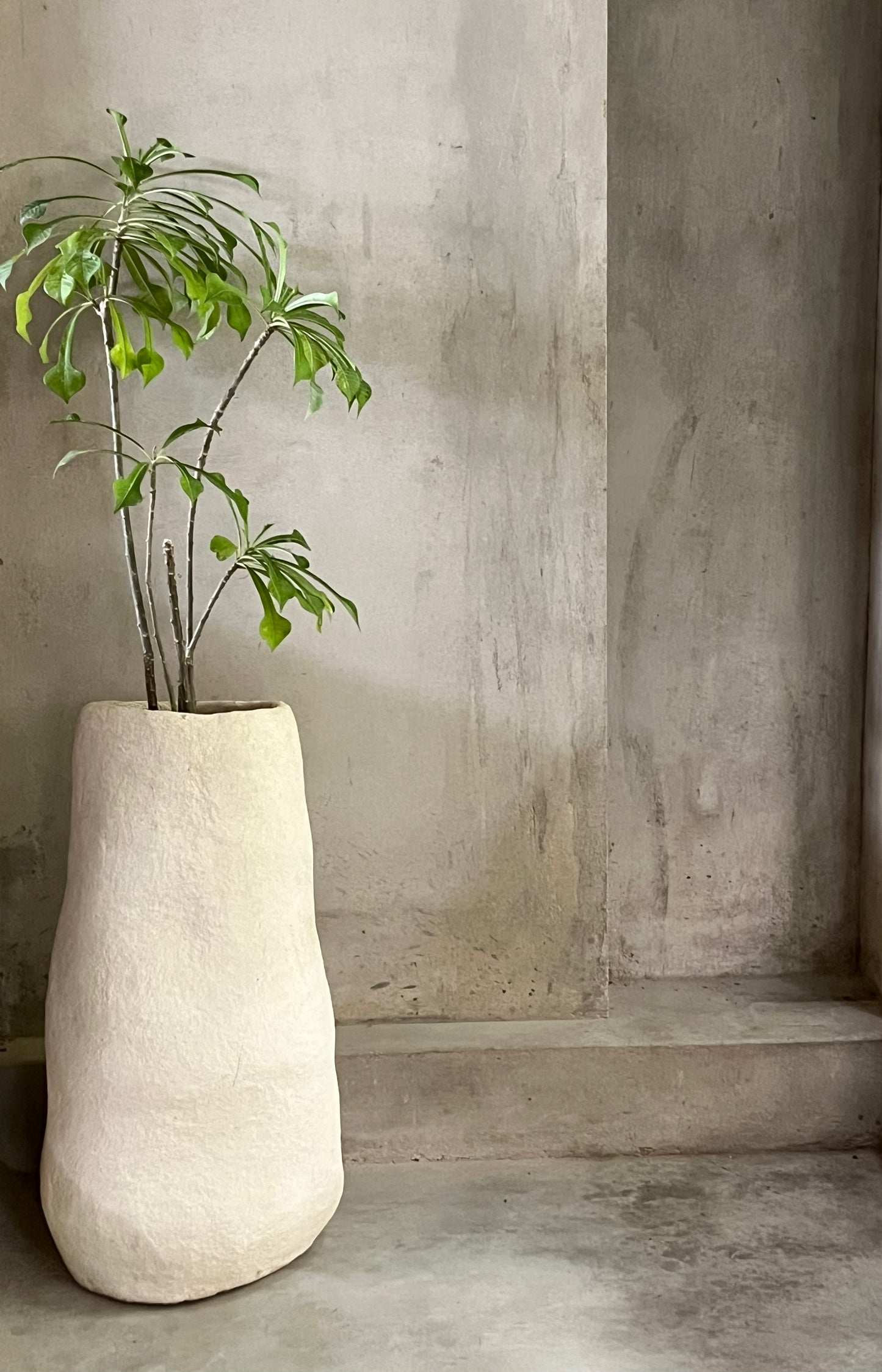 Papercrete Planter III