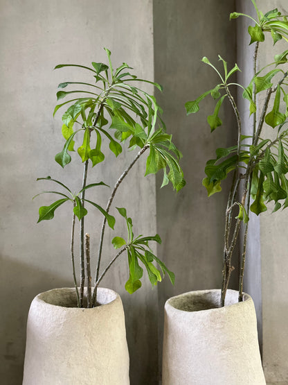 Papercrete Planter III