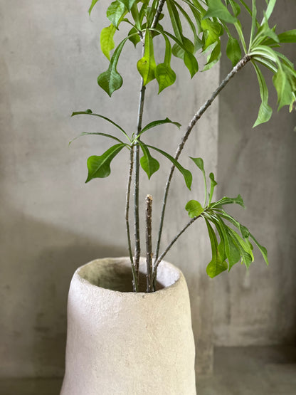 Papercrete Planter III