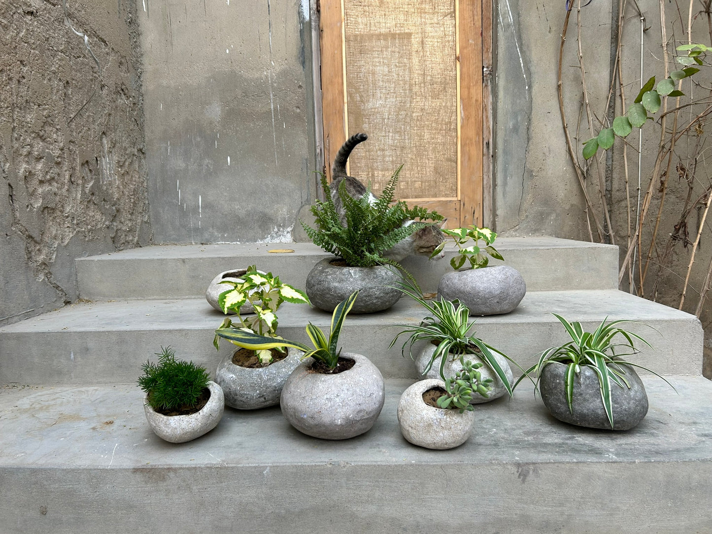 Papercrete Planters