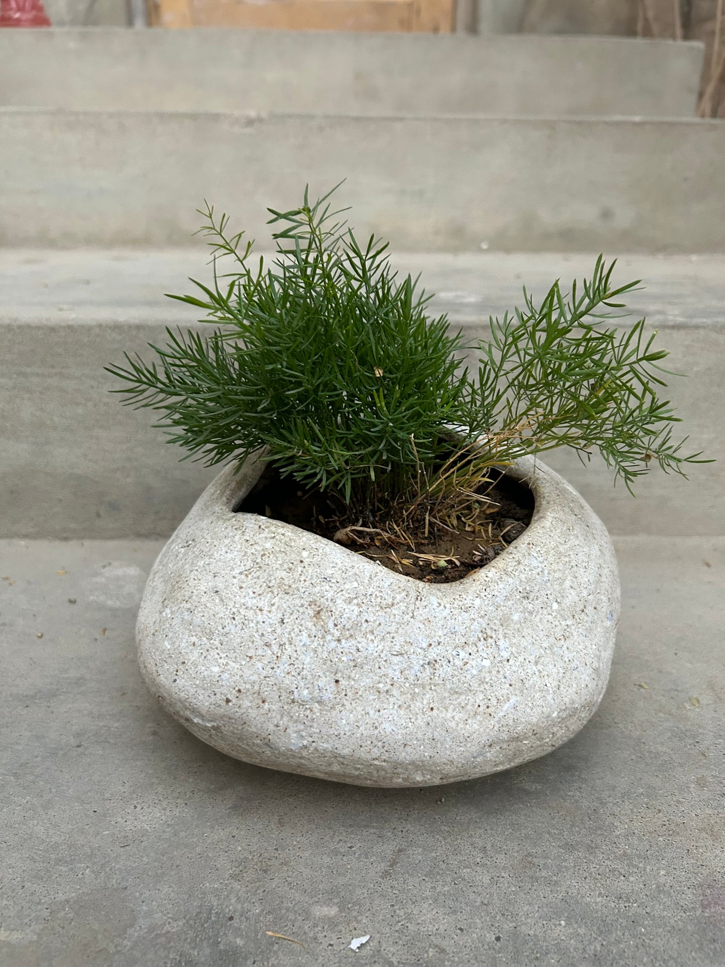 Papercrete Planters