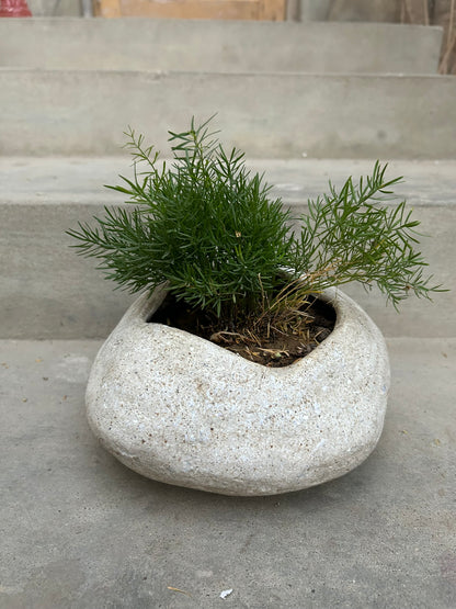 Papercrete Planters